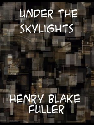 cover image of Under the Skylights